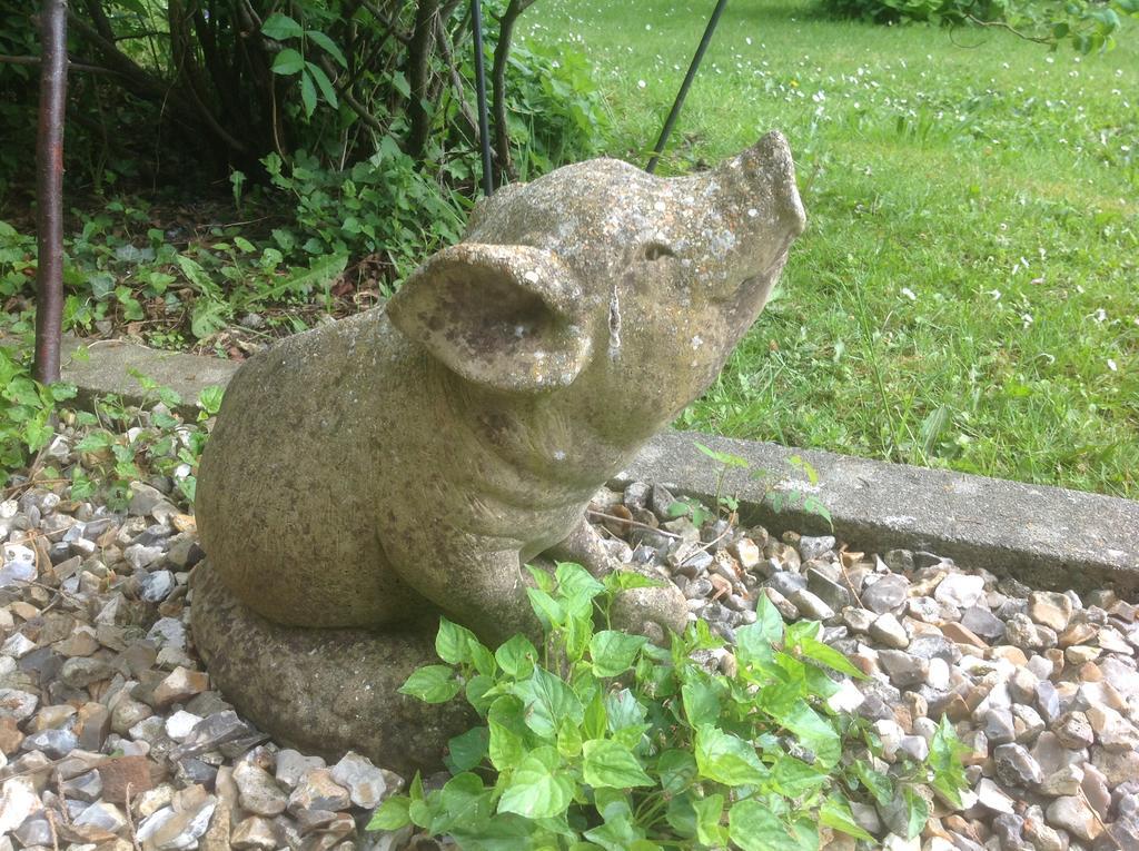 Au Fond Du Jardin Maison D'Hotes Saint-Saëns Exteriör bild