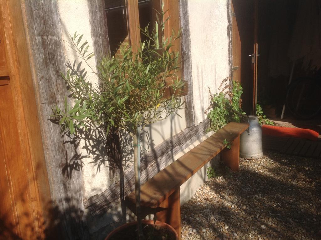 Au Fond Du Jardin Maison D'Hotes Saint-Saëns Exteriör bild